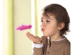 Vliegende Veren -Speelgoed Winkel haba gezelschapsspel vliegende veren 3