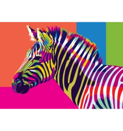 Regenboog Zebra Schilderen-op-nummer