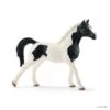 Schleich 13840 Pintabian Hengst Horse Club 1 Schleich 13840 Pintabian Hengst Horse Club -Speelgoed Winkel schleich 13840 pintabian hengst