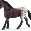 Schleich 13861 Appaloosa Merrie Horse Club