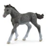 Schleich 13944 Trakhener Veulen HorseClub -Speelgoed Winkel schleich 13944 trakehner veulen